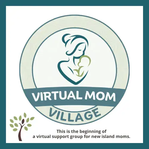 Virtual Mom Village Logo